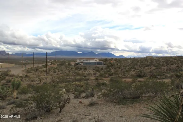 a view of a city with lots of trees
