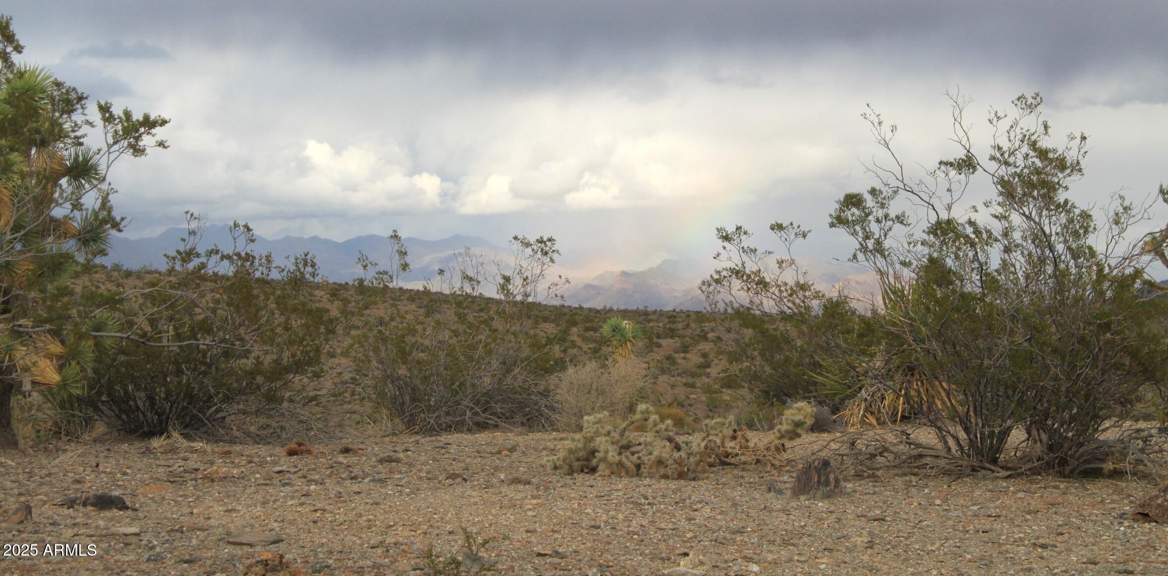 1765 Fortification Drive, Unit 736 Meadview, AZ 86444 - Photo 5 of 10 a view of a dry yard with lots of trees