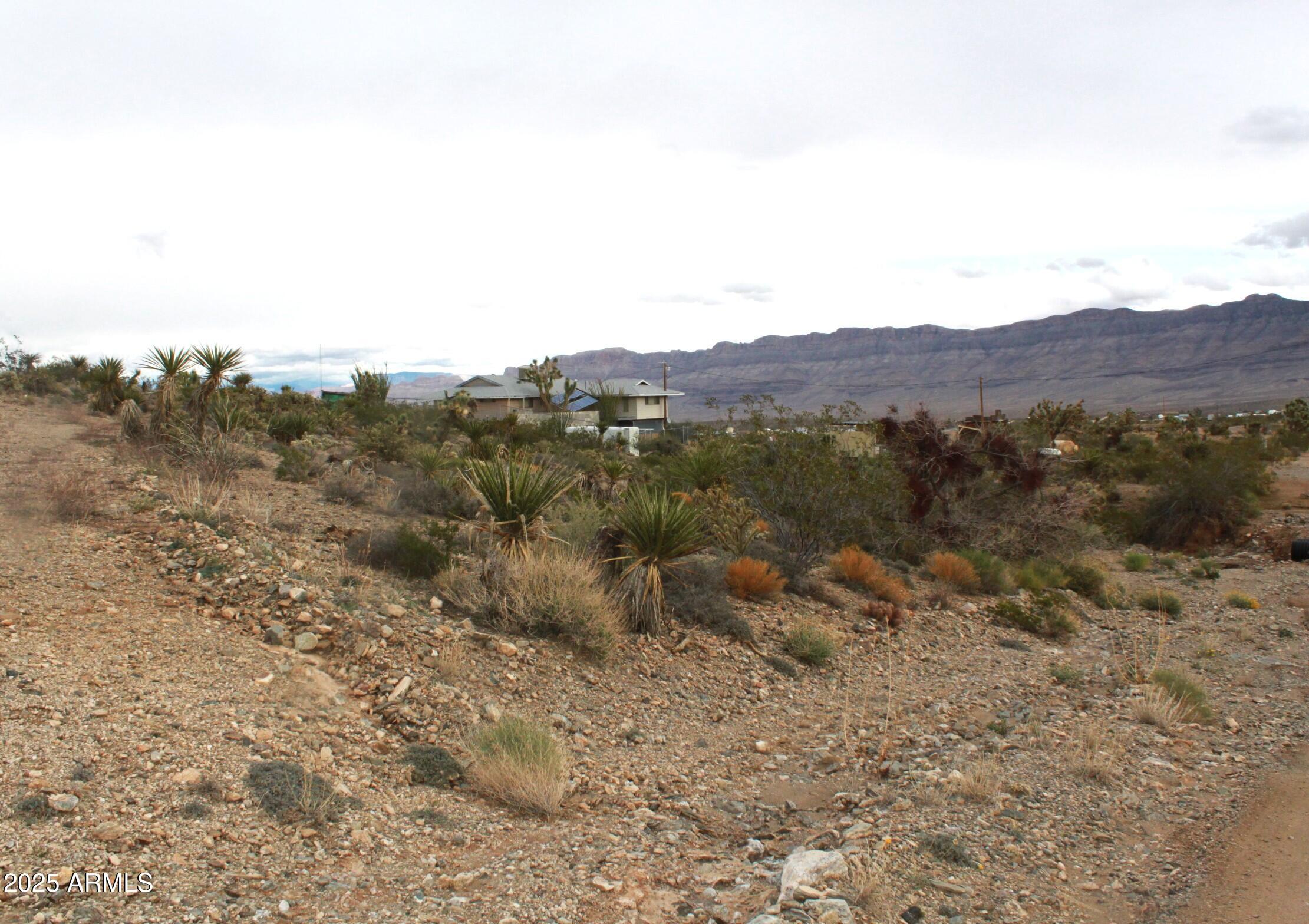 1765 Fortification Drive, Unit 736 Meadview, AZ 86444 - Photo 8 of 10 a view of a forest with mountains in the background