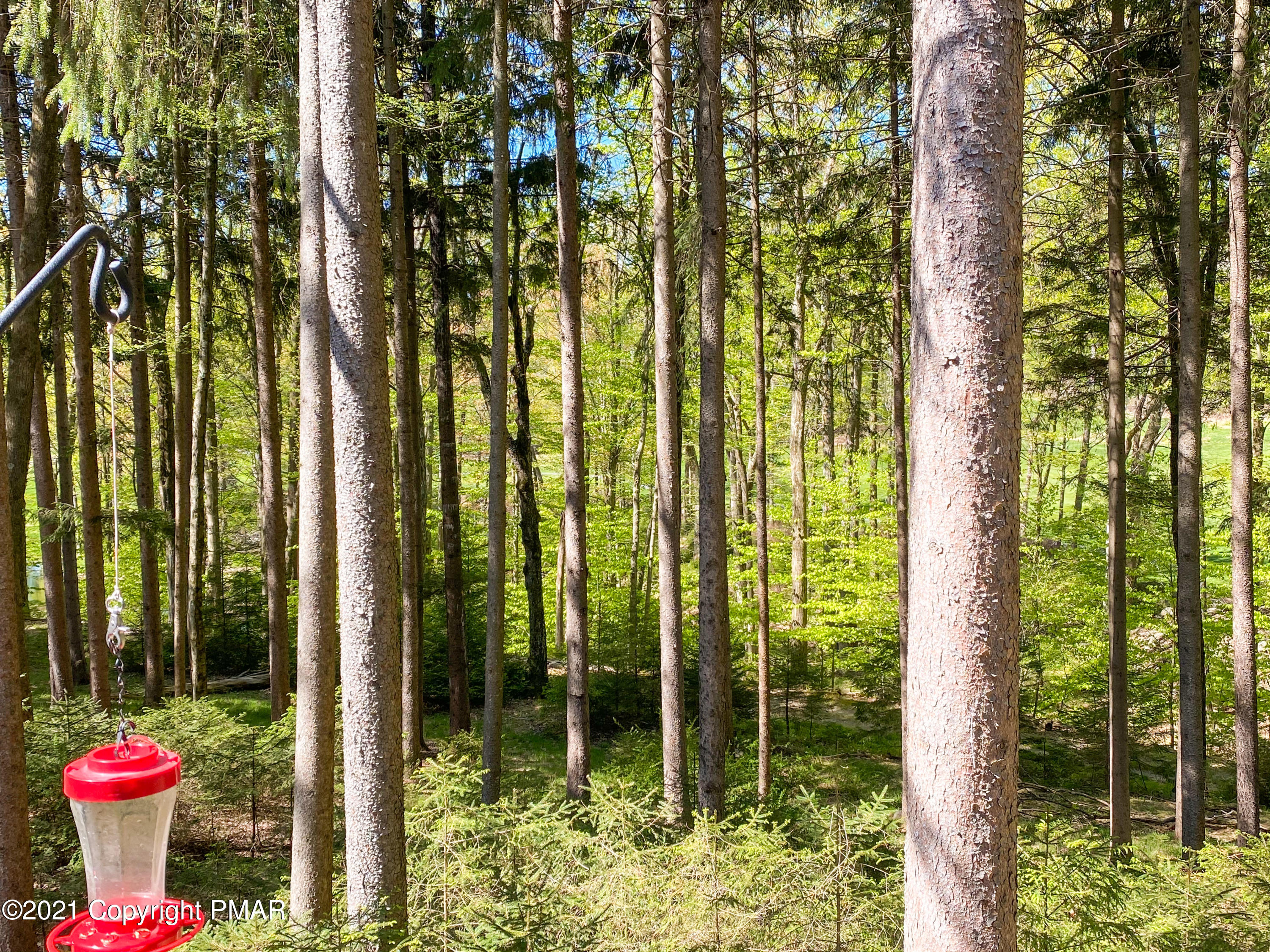 2171 Oak Hill Drive Canadensis, PA 18325 - Photo 22 of 63 View from porch