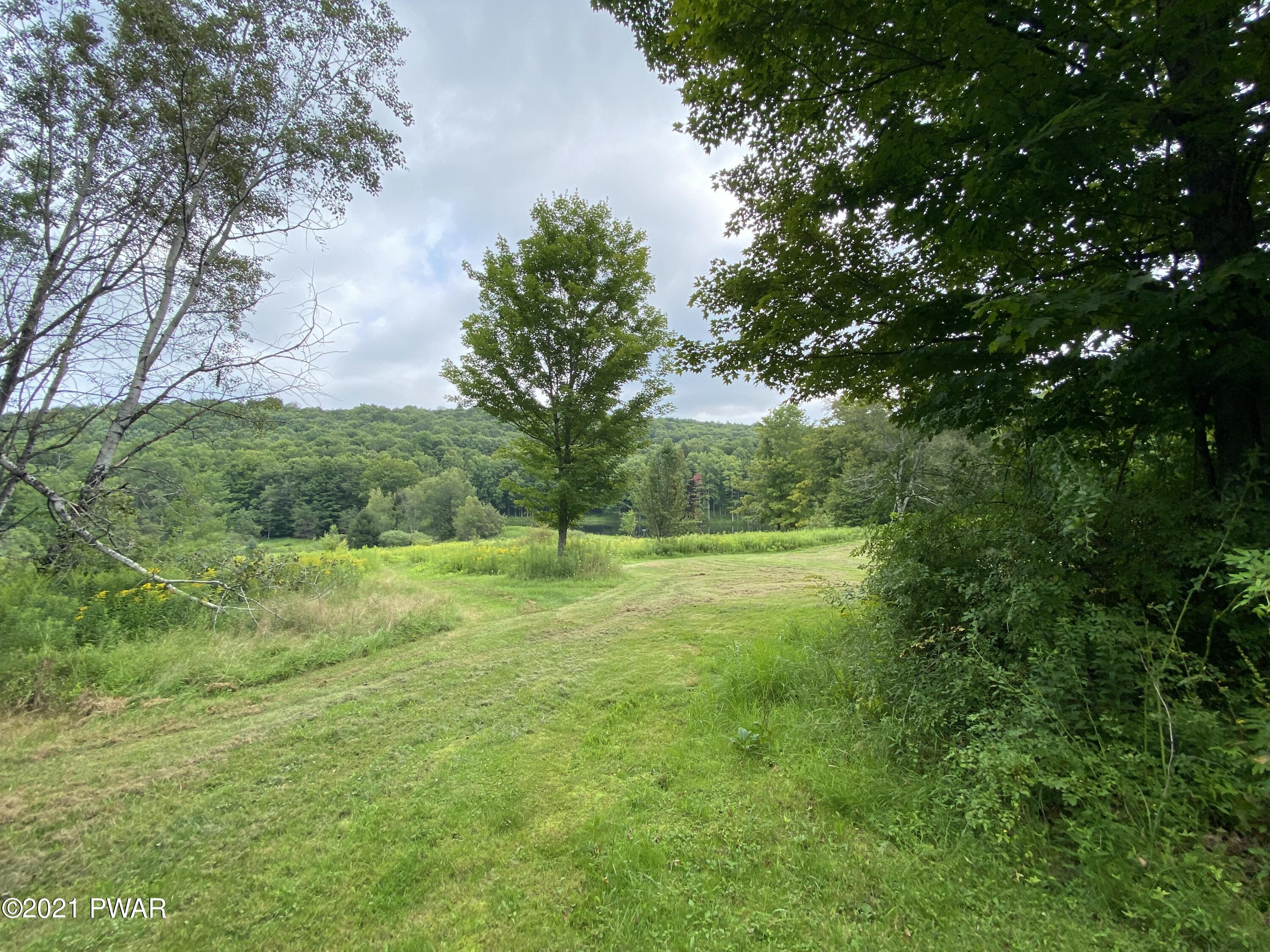 1182 Maple Grove Road Susquehanna, PA 18847 - Photo 12 of 14 Fields