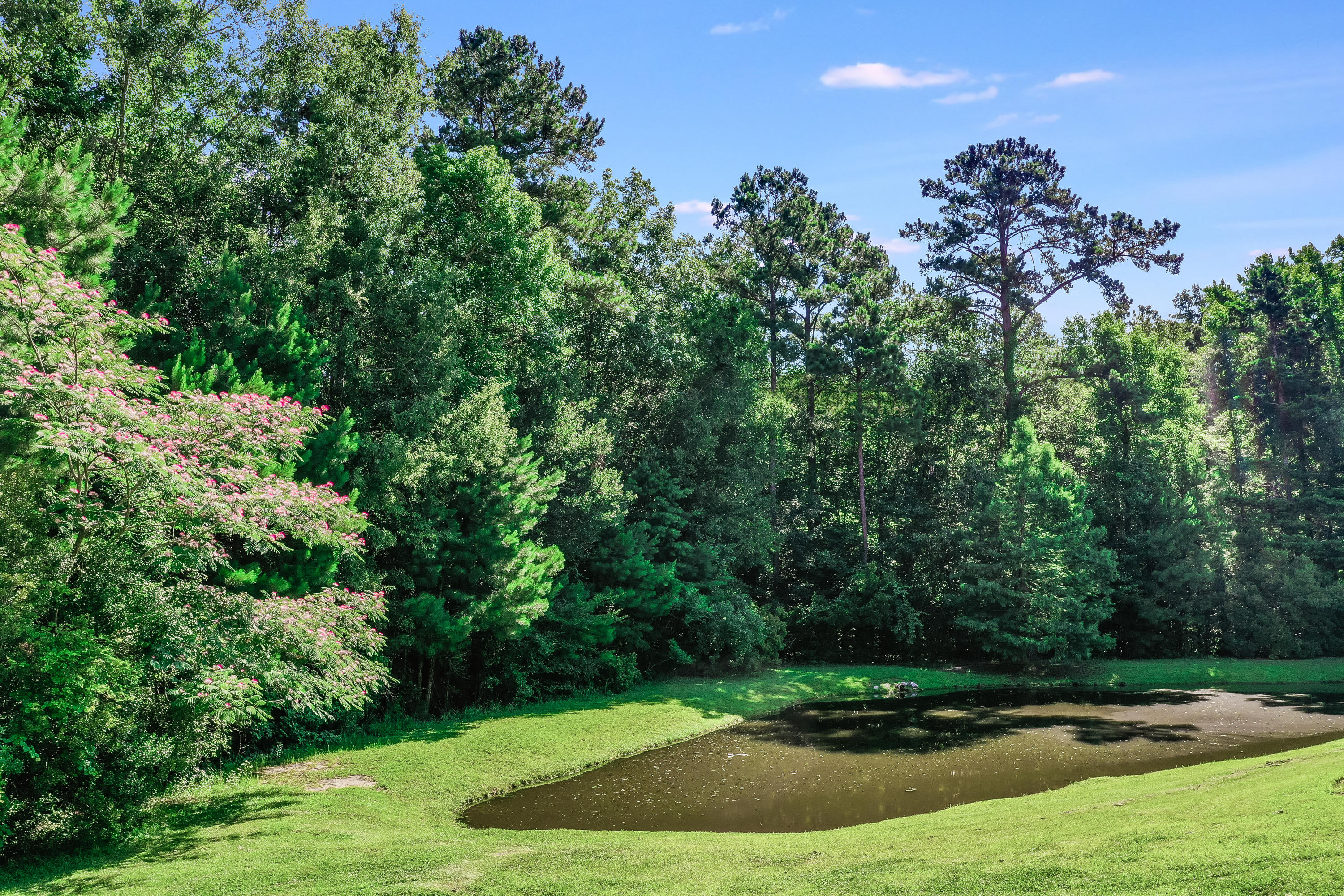 341 Flyway Road Goose Creek, SC 29445 - Photo 15 of 15 DJI_0965