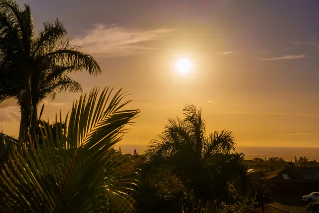 a view of a lake and trees