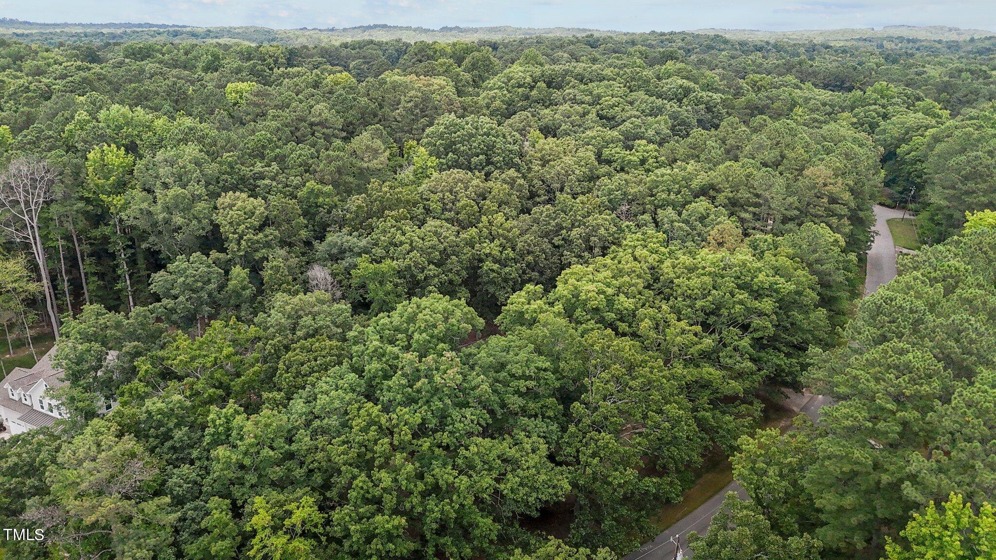 5211 Summit Ridge Drive Durham, NC 27712 - Photo 5 of 53 5-web-or-mls-DJI_20240613141726_0132_D