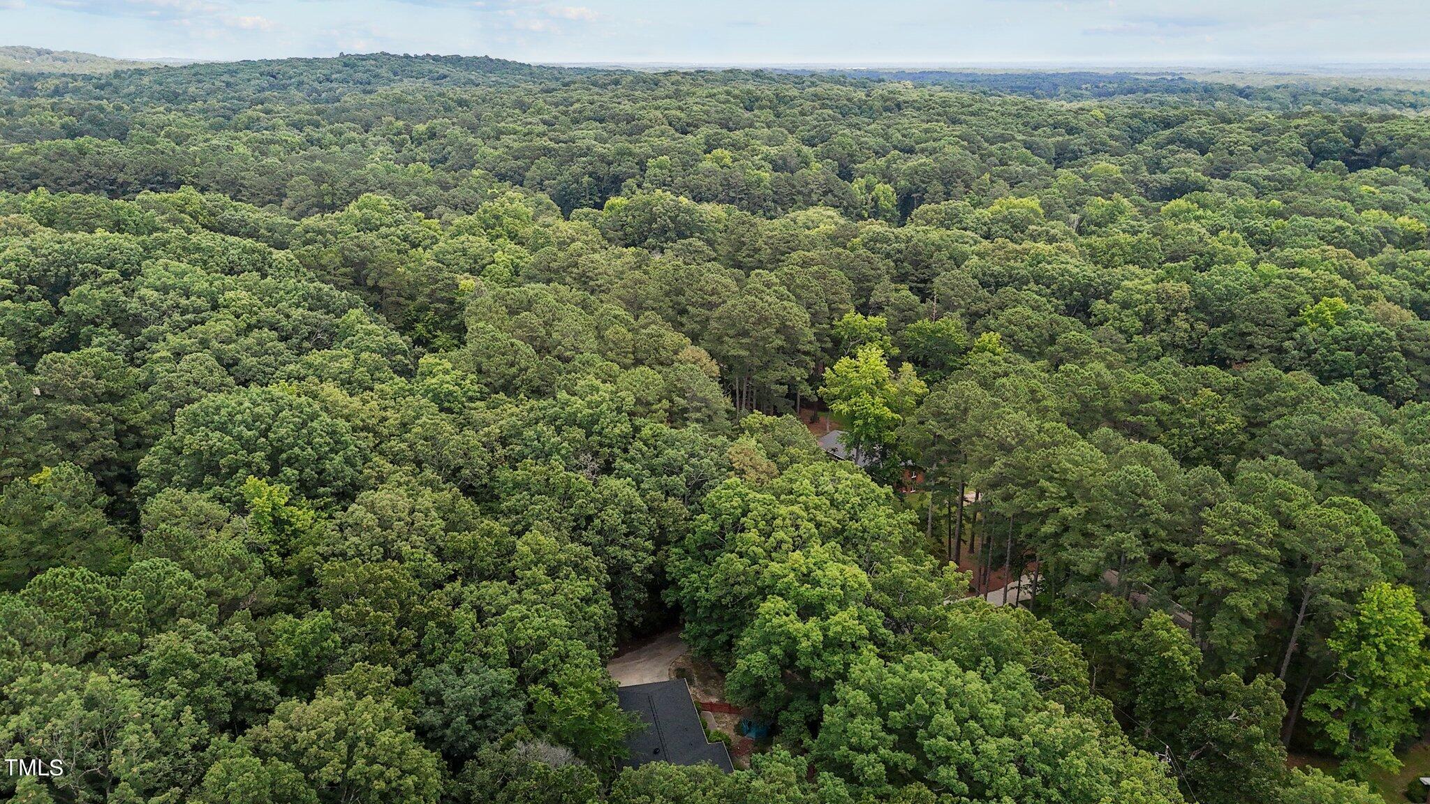 5211 Summit Ridge Drive Durham, NC 27712 - Photo 8 of 53 8-web-or-mls-DJI_20240613141818_0135_D