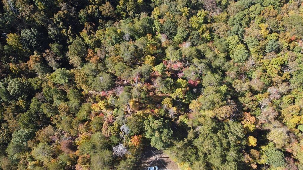169 Jasmine Drive Ranger, GA 30734 - Photo 21 of 61