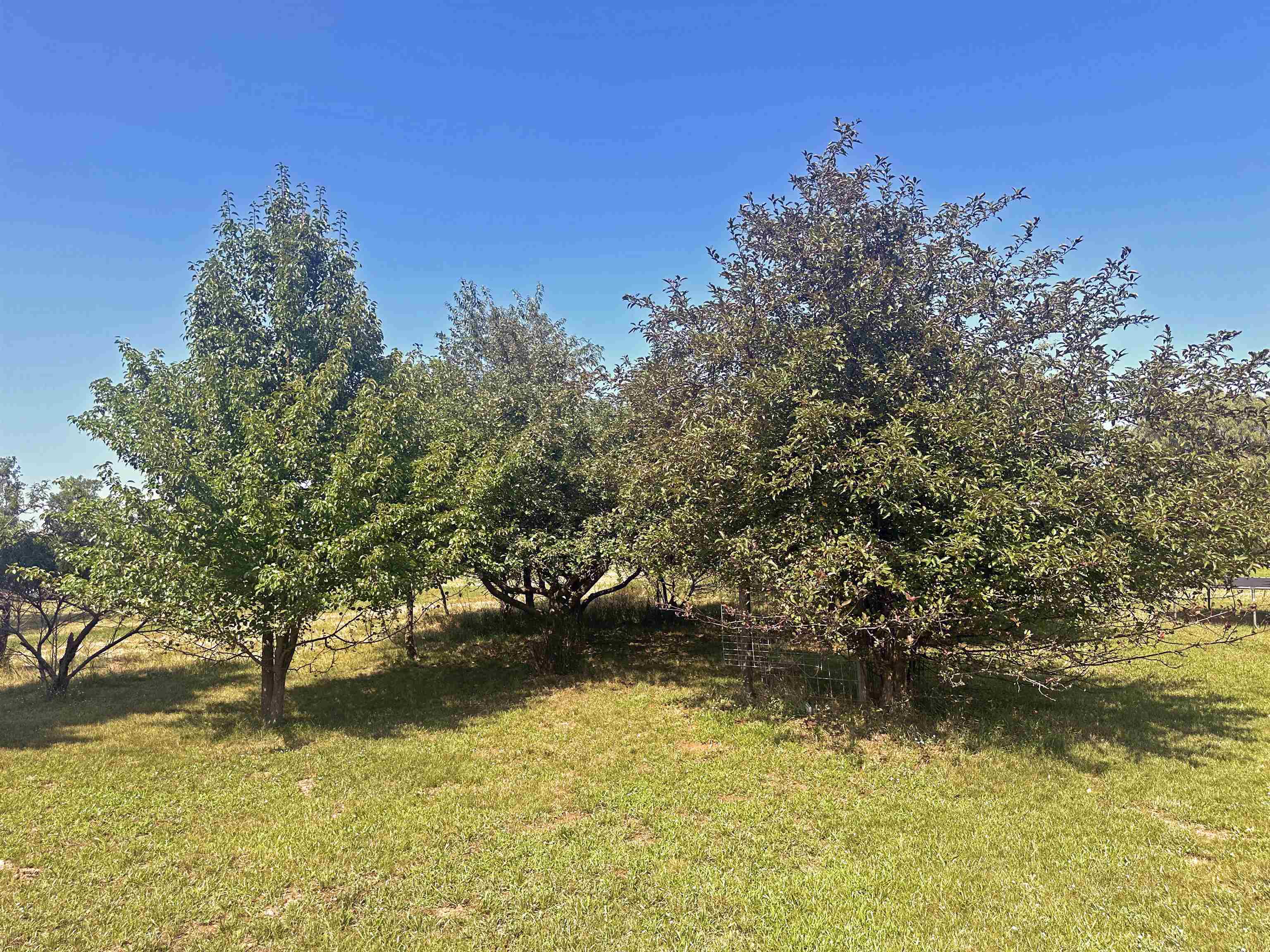 11975 Allan Road Flushing, MI 48433 - Photo 12 of 30