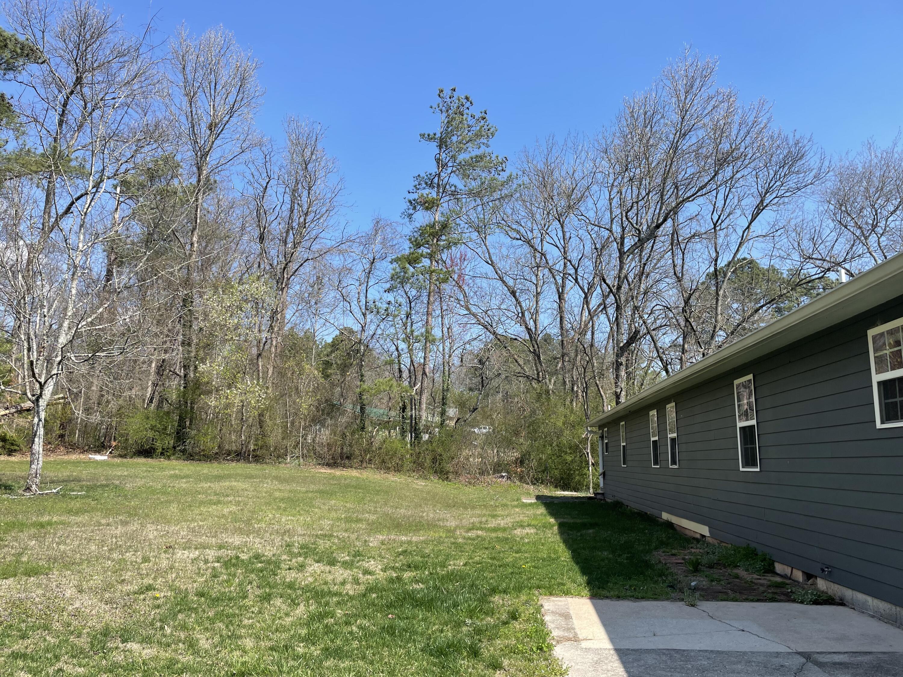 5025 Bess Moore Road, Unit B Apison, TN 37302 - Photo 30 of 31 IMG_4961