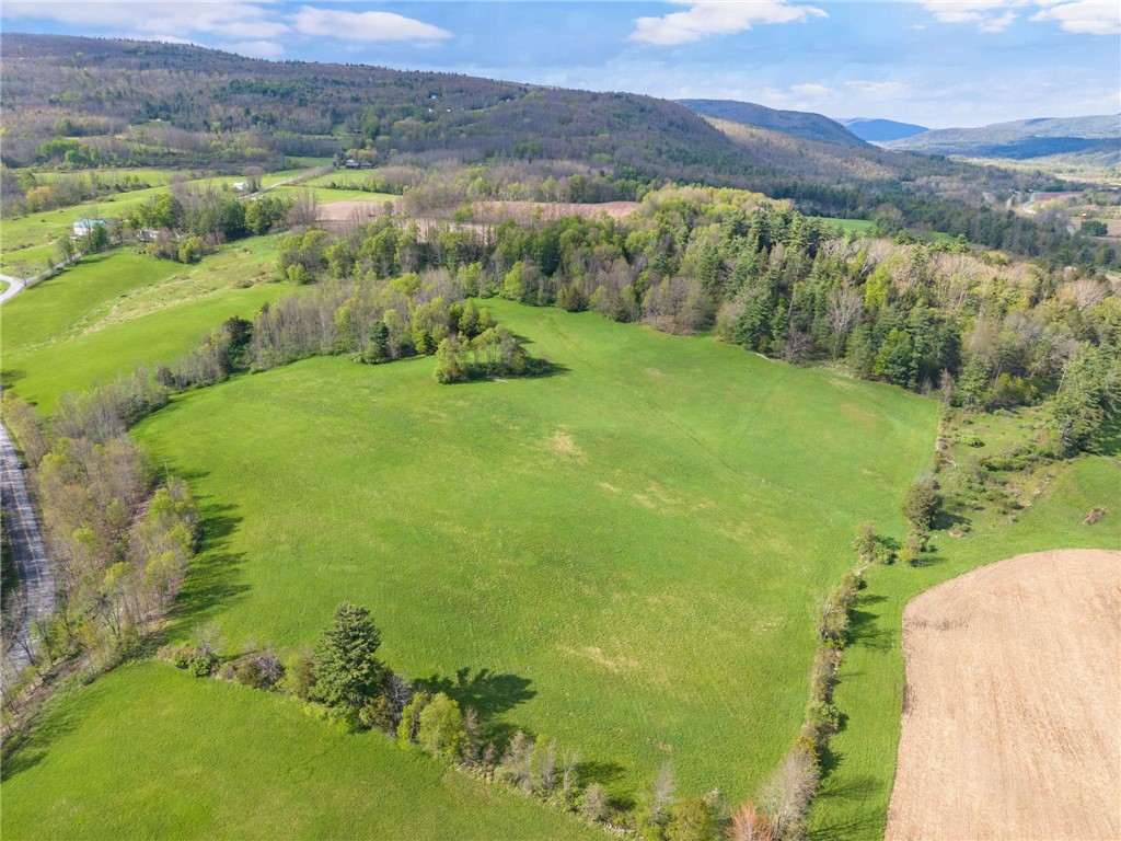 Westkill Road North Blenheim, NY 12131 - Photo 4 of 38