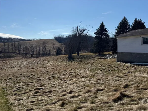 a view of a backyard