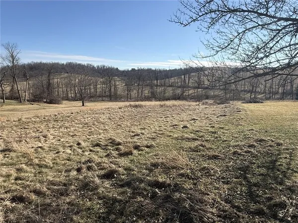 a view of a yard with a house