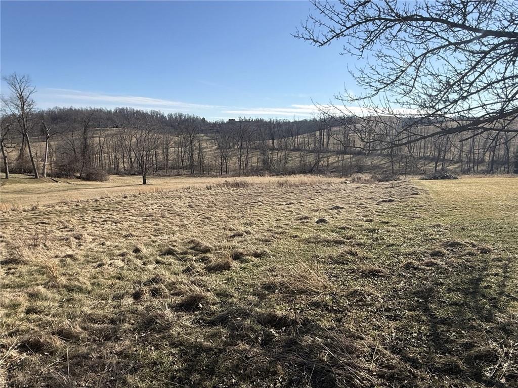 195 Vaneal Road Washington, PA 15301 - Photo 6 of 11 a view of a yard with a house