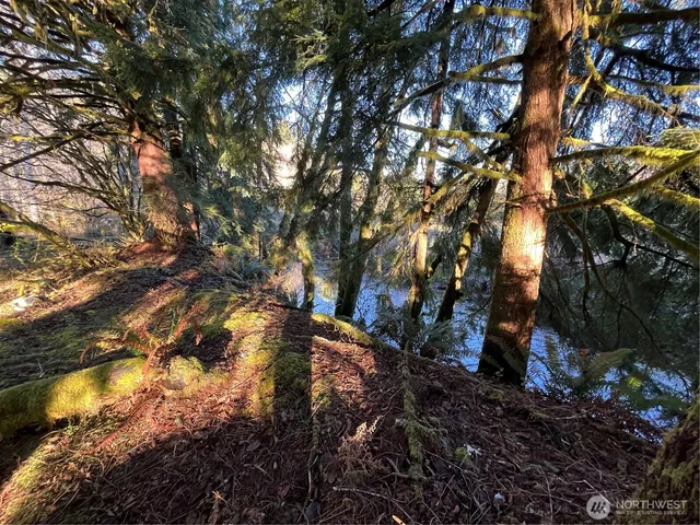 a backyard of a house