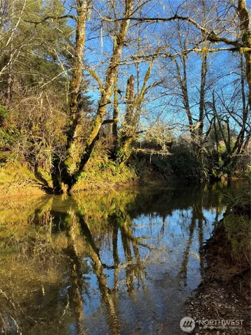 a view of water with a large tree