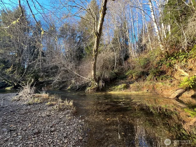 a view of a field with trees in the background