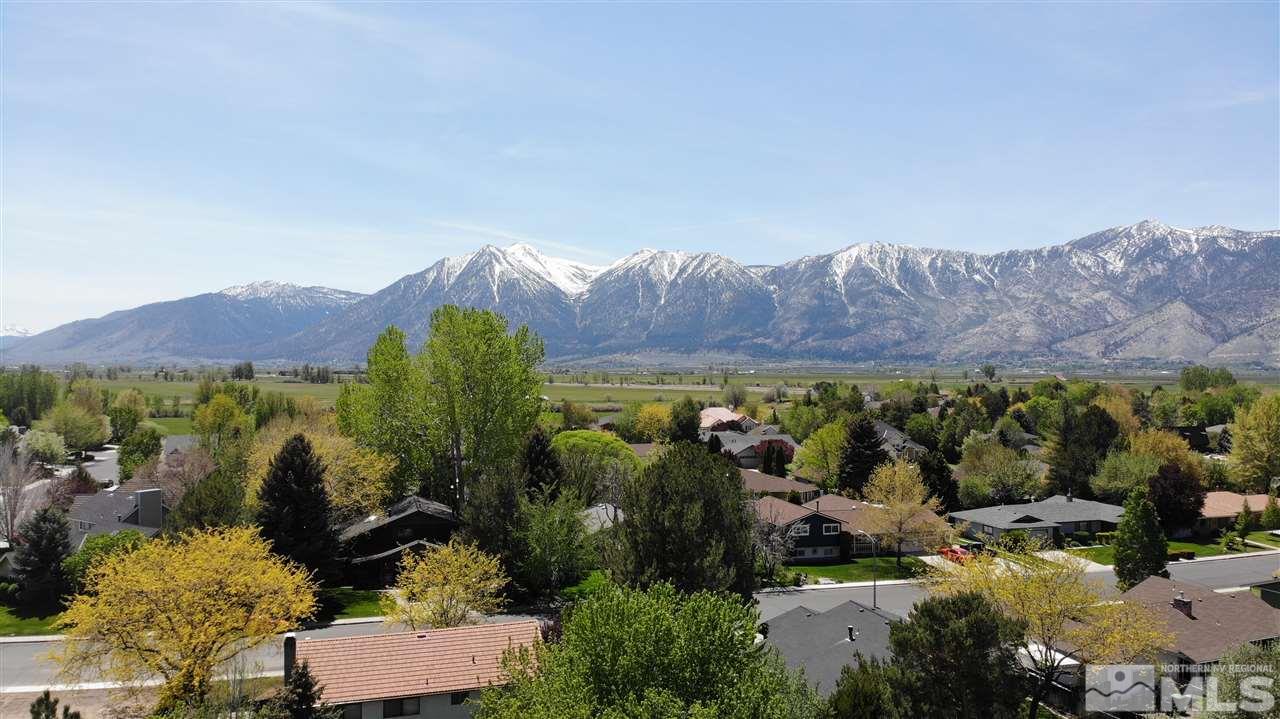 1642 County Road Minden, NV 89423 - Photo 3 of 40 Photo 3