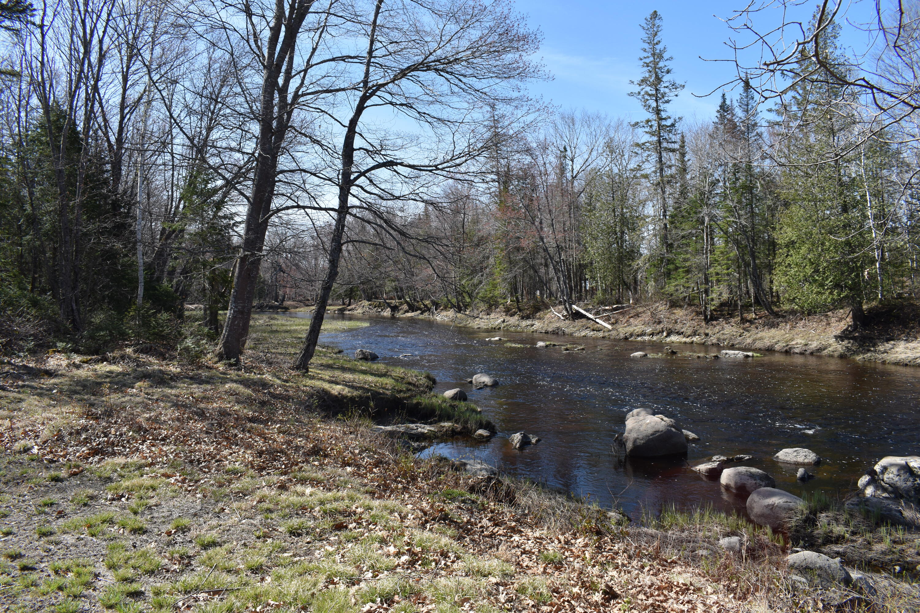 15 Loop Road Lincoln, ME 04457 - Photo 12 of 51 DSC_0150