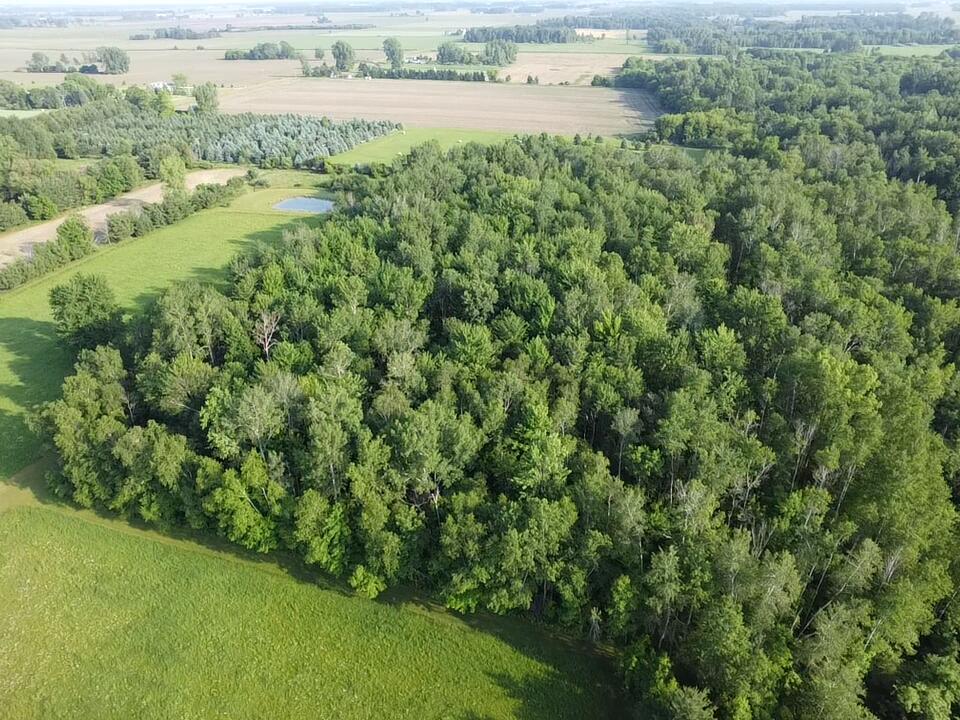 236 West Stone Road Deckerville, MI 48427 - Photo 6 of 48 2026-06-10-18-43-33-681