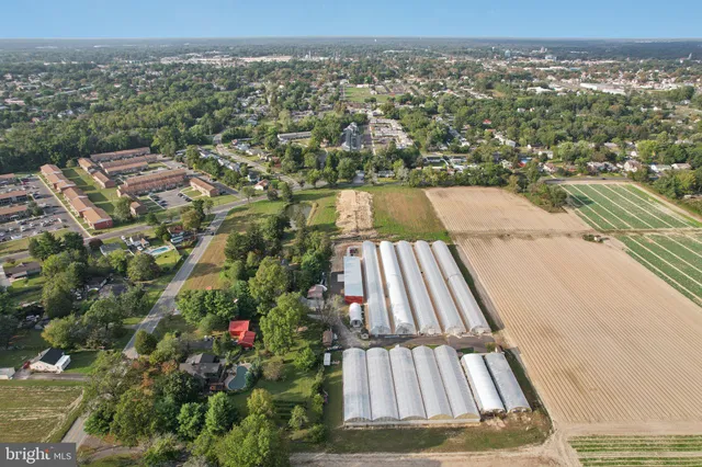 a view of a big house with a yard and large trees