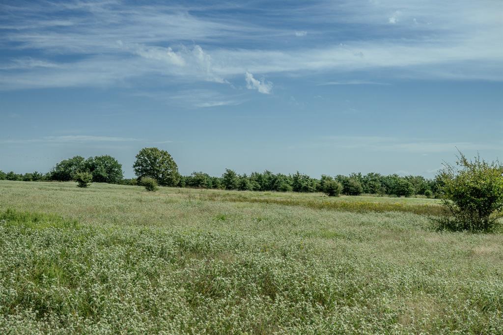 1 West Pleasant Valley Road Bellevue, TX 76228 - Photo 37 of 40