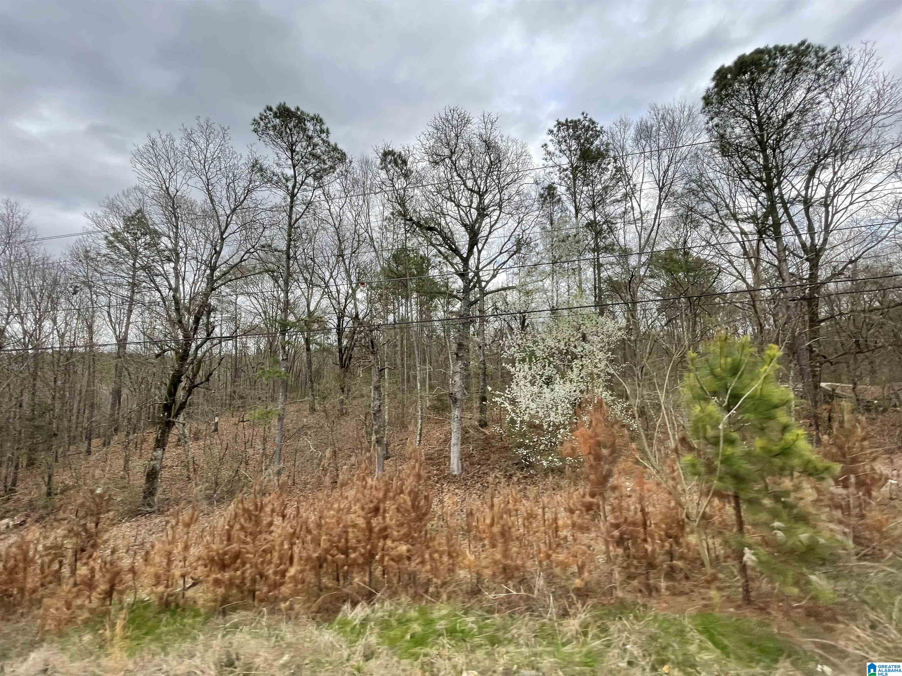 0 Stemley Road Talladega, AL 35160 - Photo 4 of 5