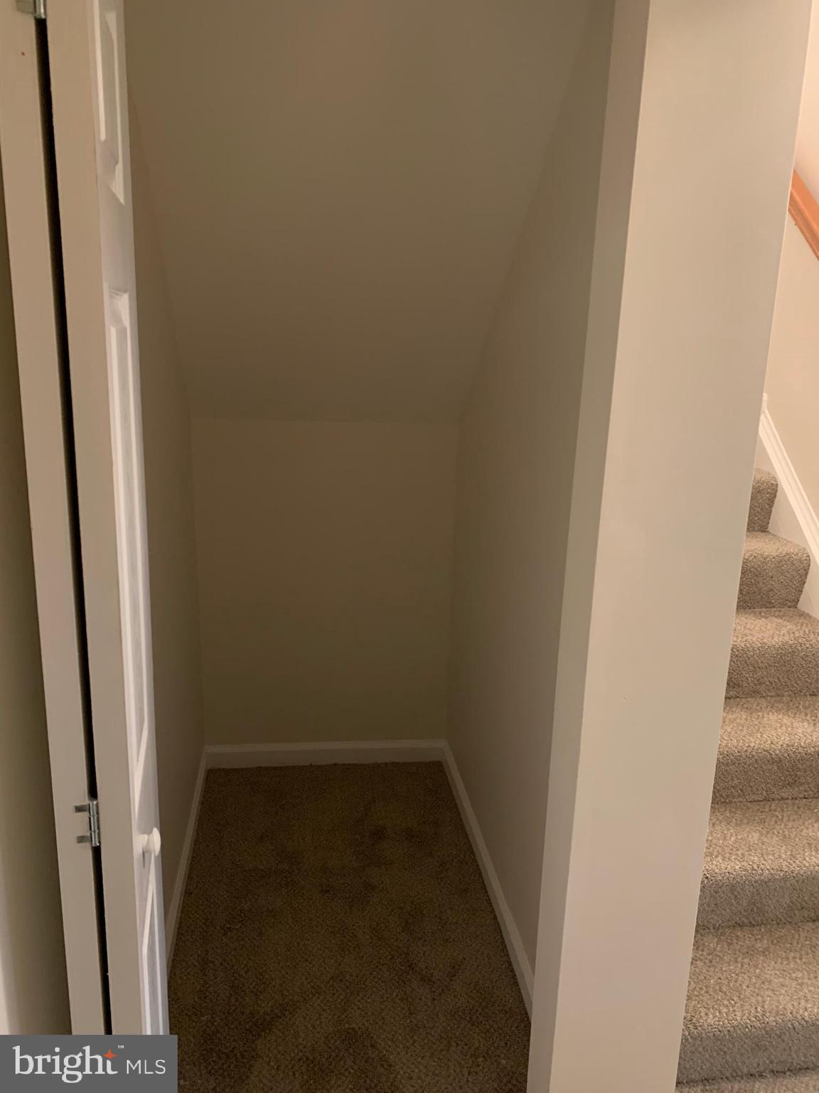 3202 Kelox Road Baltimore, MD 21207 - Photo 53 of 68 Lower lvl Storage under the stairs