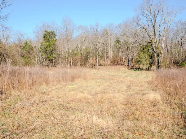 $890,000 | 0 Lasea Road, Spring Hill, TN 37174