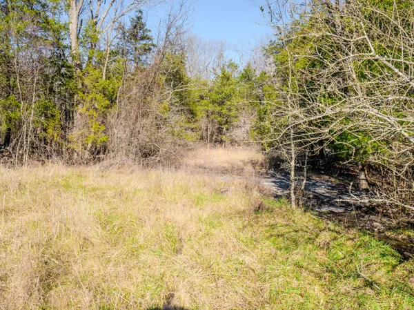 $890,000 | 0 Lasea Road, Spring Hill, TN 37174