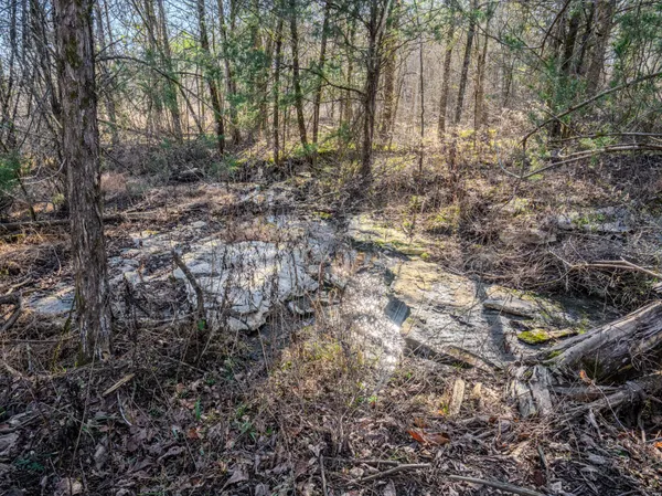 $890,000 | 0 Lasea Road, Spring Hill, TN 37174