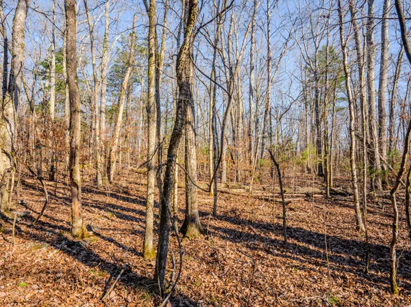 $890,000 | 0 Lasea Road, Spring Hill, TN 37174