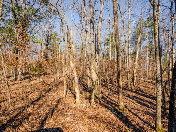 $890,000 | 0 Lasea Road, Spring Hill, TN 37174