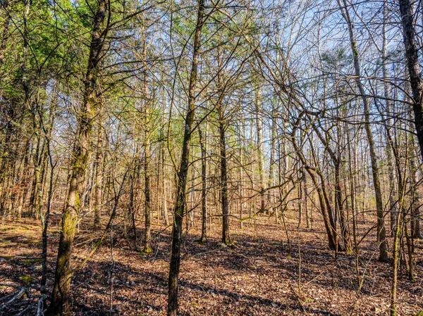 $890,000 | 0 Lasea Road, Spring Hill, TN 37174