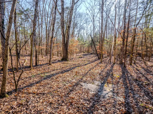 $890,000 | 0 Lasea Road, Spring Hill, TN 37174