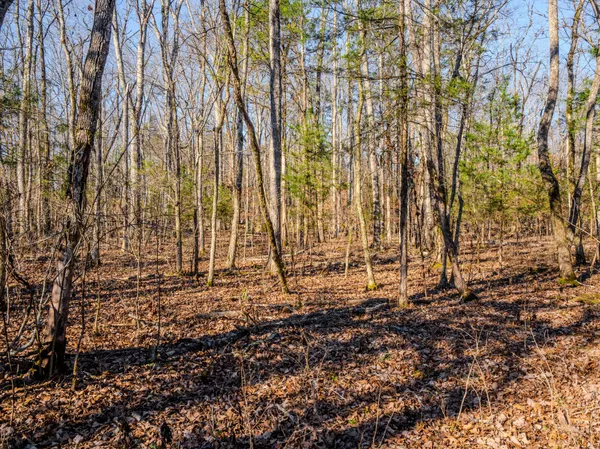 $890,000 | 0 Lasea Road, Spring Hill, TN 37174