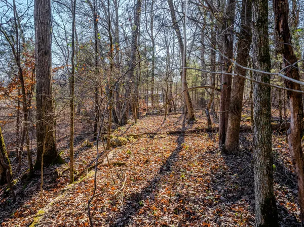 $890,000 | 0 Lasea Road, Spring Hill, TN 37174