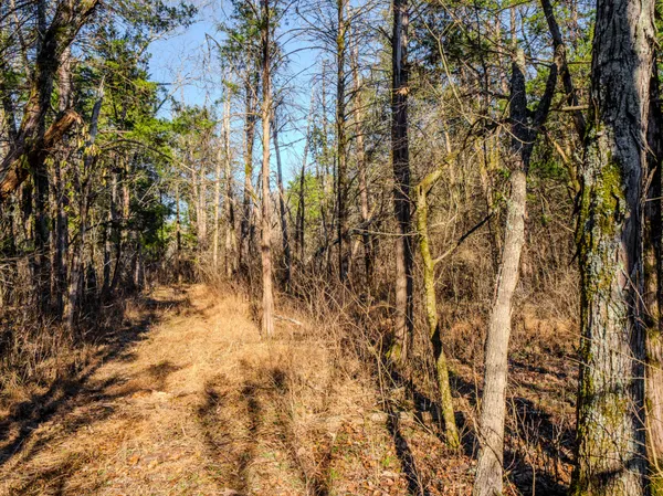 $890,000 | 0 Lasea Road, Spring Hill, TN 37174