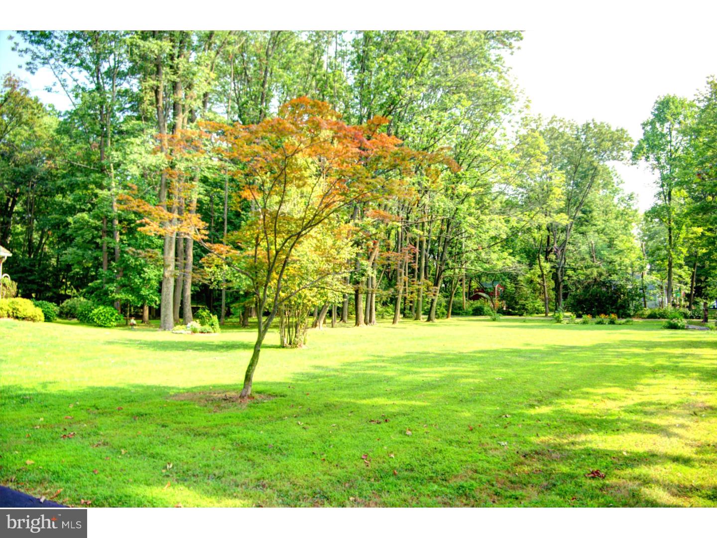144 Wambold Road Green Lane, PA 18054 - Photo 3 of 22 Side Yard