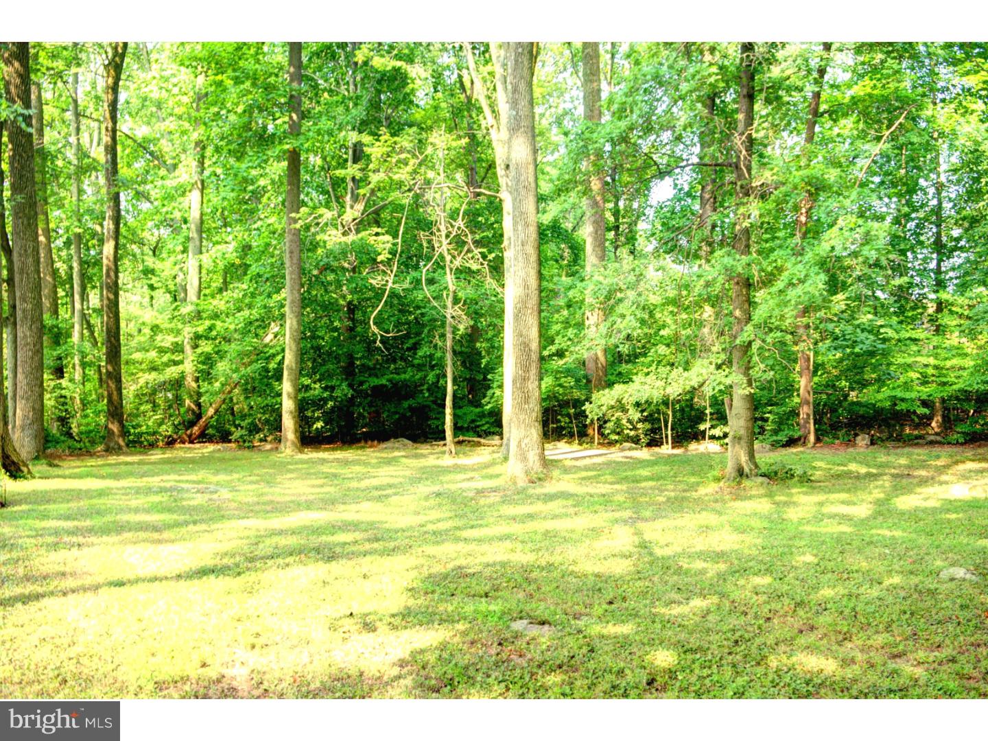 144 Wambold Road Green Lane, PA 18054 - Photo 21 of 22 Side Yard