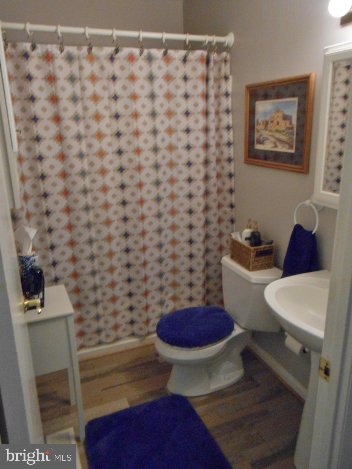 6611 Bucknell Road Bryans Road, MD 20616 - Photo 8 of 17 Bath