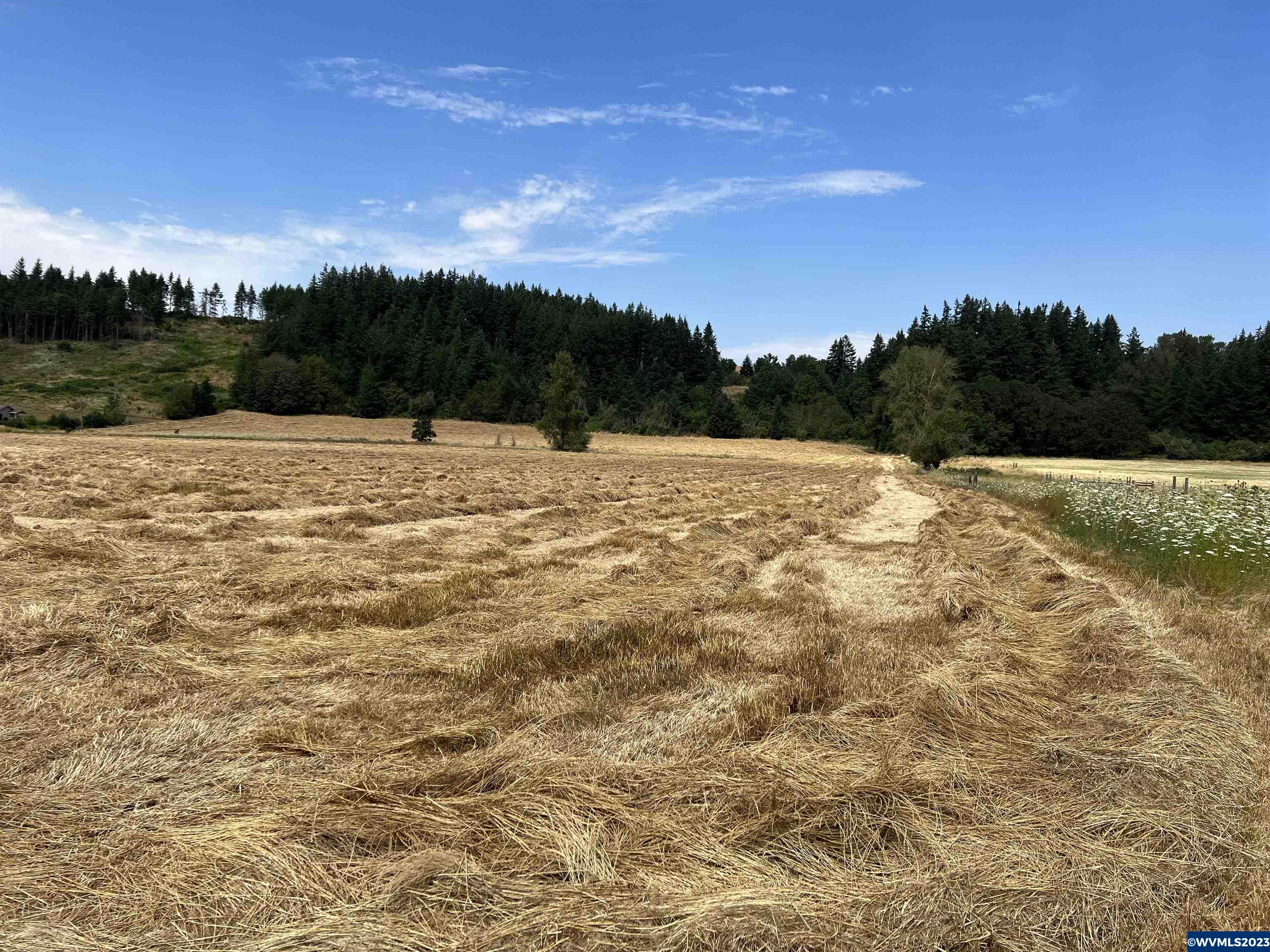 Old Mehama (by To 15700) Road Stayton, OR 97383 - Photo 8 of 8