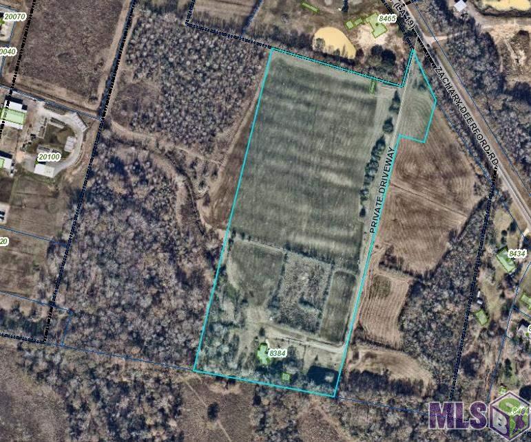 8384 Zachary Deerford Road Zachary, LA 70791 - Photo 4 of 7