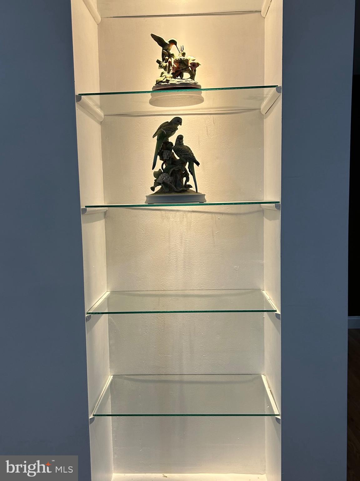 10409 Lees Mill Road Warrenton, VA 20186 - Photo 33 of 57 BUILT IN GLASS SHELVING
