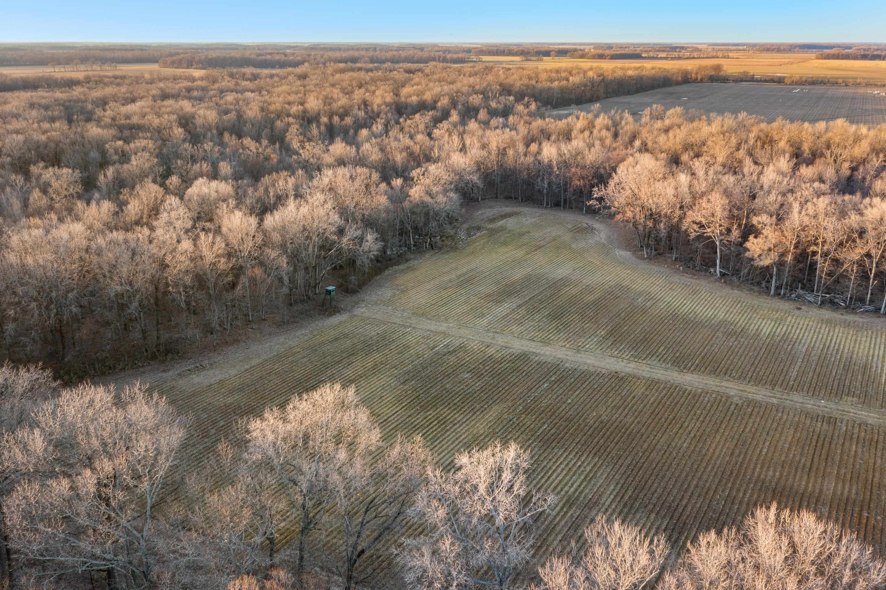 483 Phillips 131 Road Marvell, AR 72366 - Photo 15 of 40 a view of lake with mountain