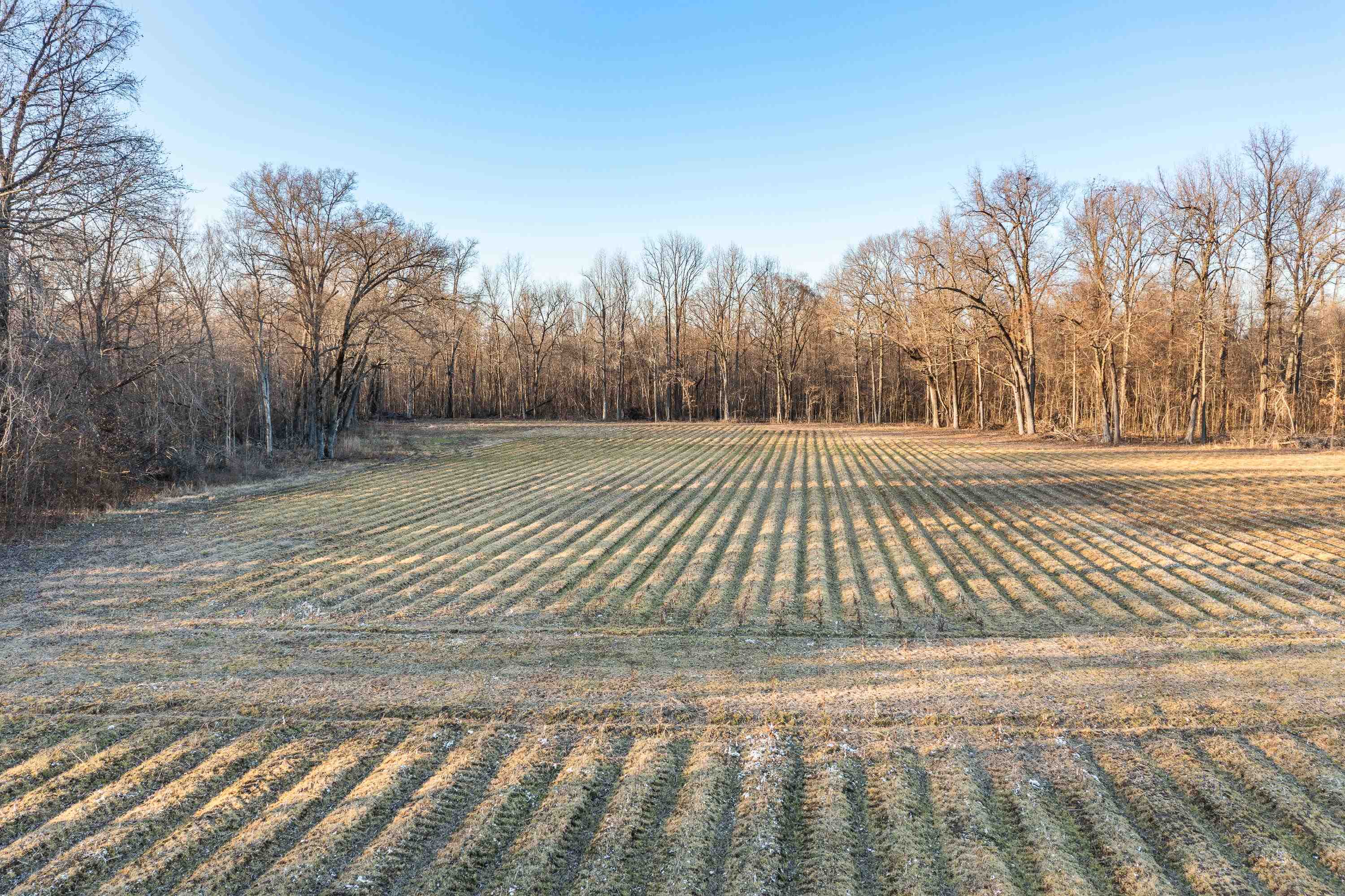 483 Phillips 131 Road Marvell, AR 72366 - Photo 16 of 40 a view of a backyard