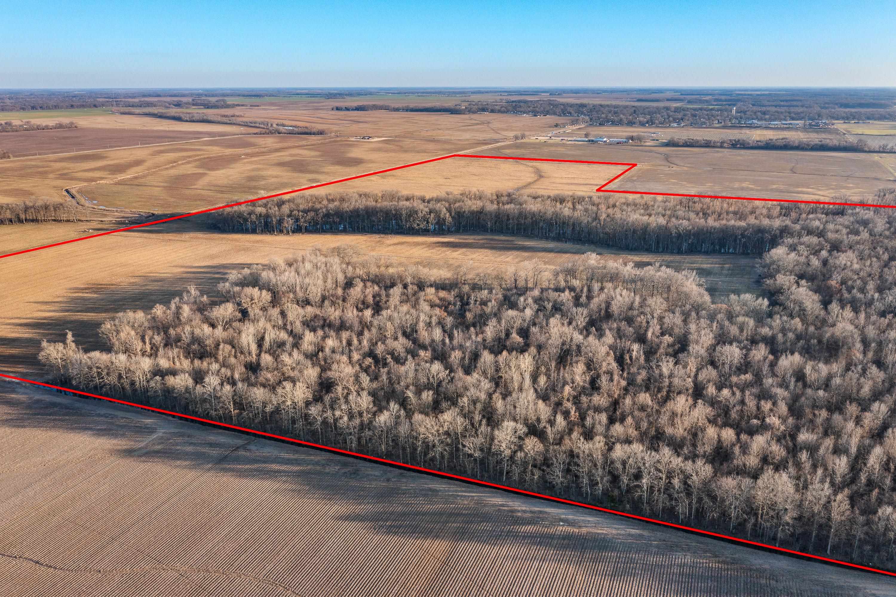 483 Phillips 131 Road Marvell, AR 72366 - Photo 17 of 40