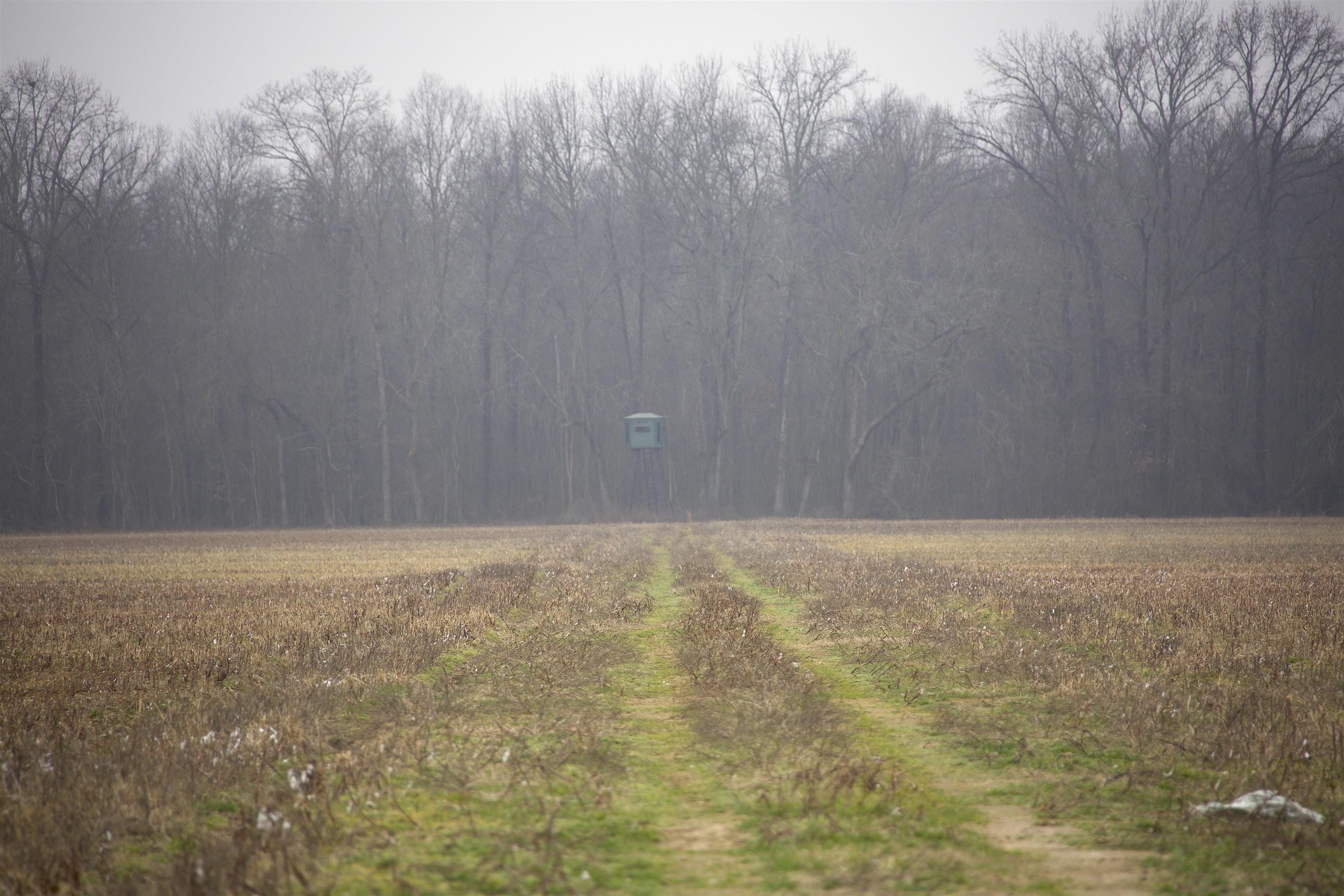 483 Phillips 131 Road Marvell, AR 72366 - Photo 18 of 40 a view of an empty room