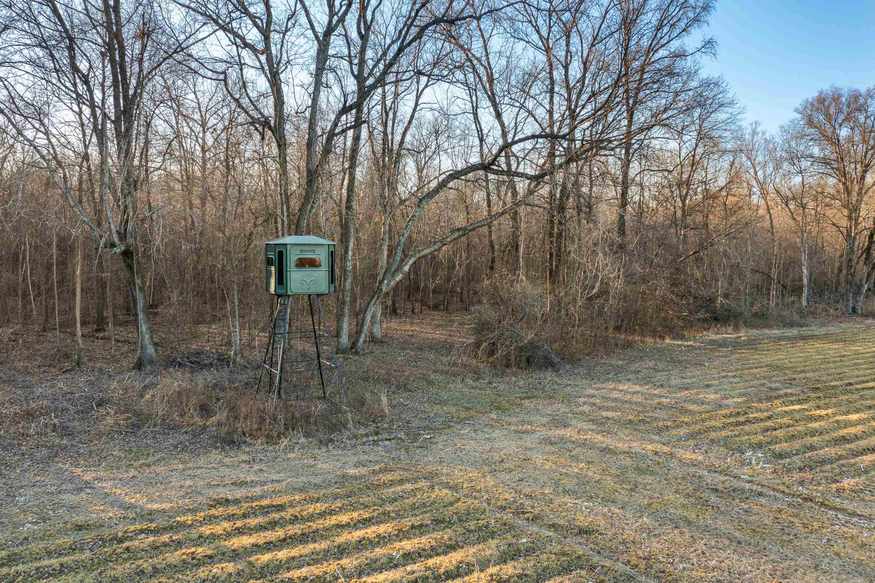 483 Phillips 131 Road Marvell, AR 72366 - Photo 19 of 40 a view of a outdoor space