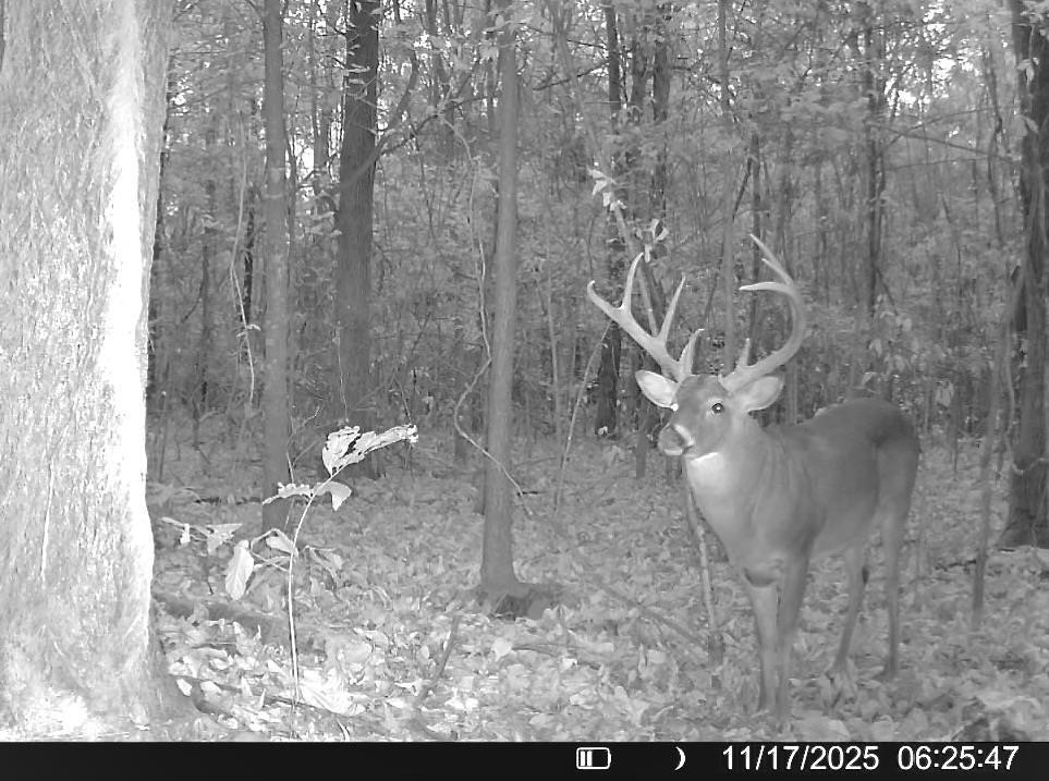483 Phillips 131 Road Marvell, AR 72366 - Photo 2 of 40 a view of a outdoor space