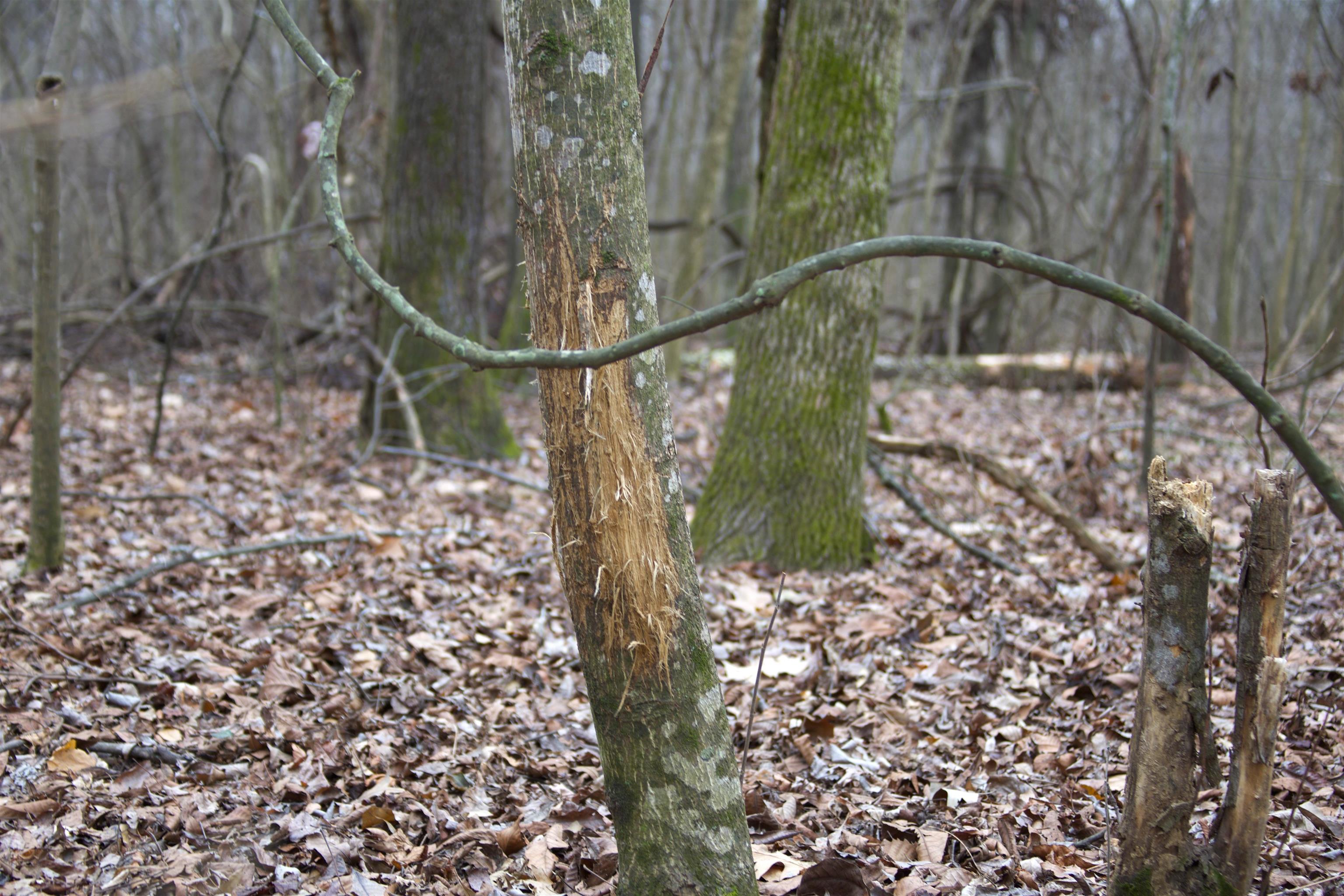 483 Phillips 131 Road Marvell, AR 72366 - Photo 22 of 40