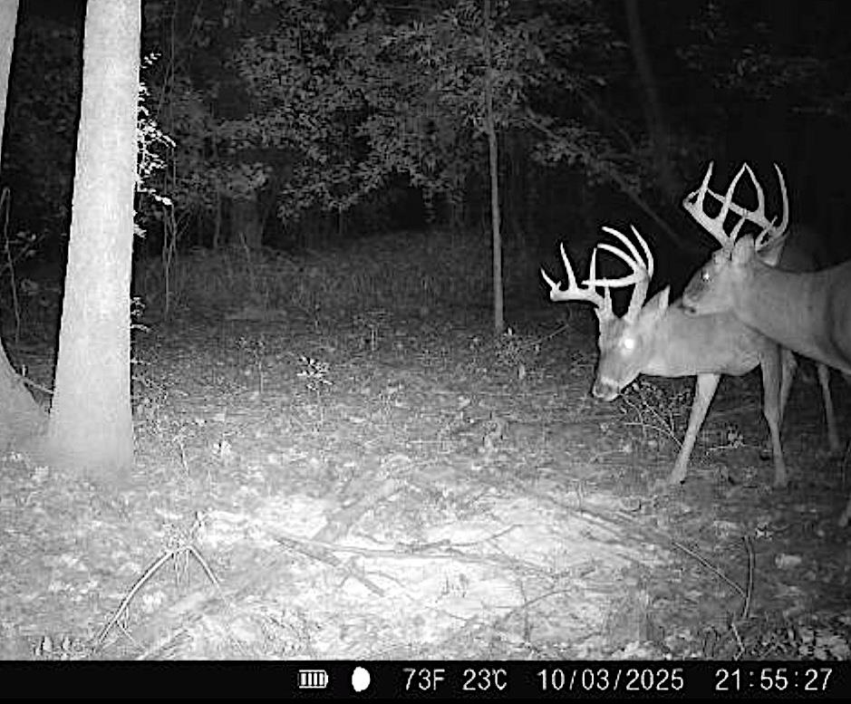 483 Phillips 131 Road Marvell, AR 72366 - Photo 23 of 40 a view of a yard